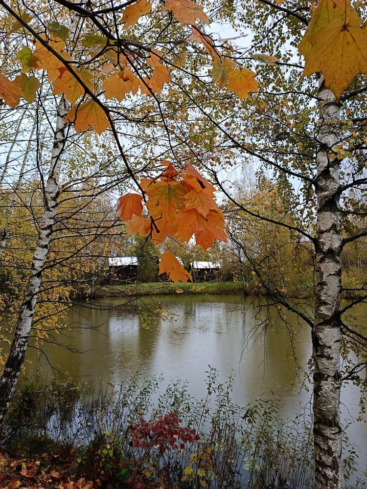 Photo #9678194