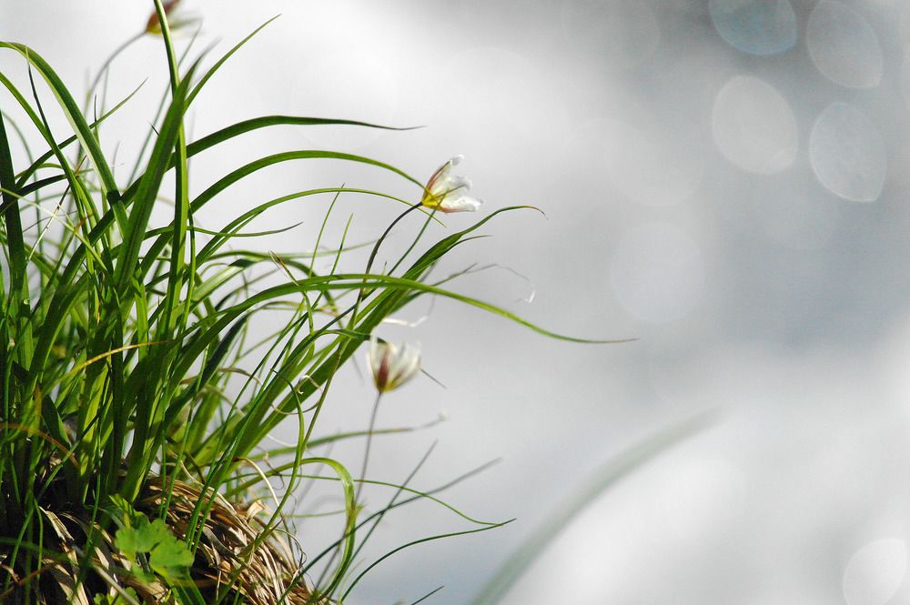 Photograph by Дмитрий Ткаченко