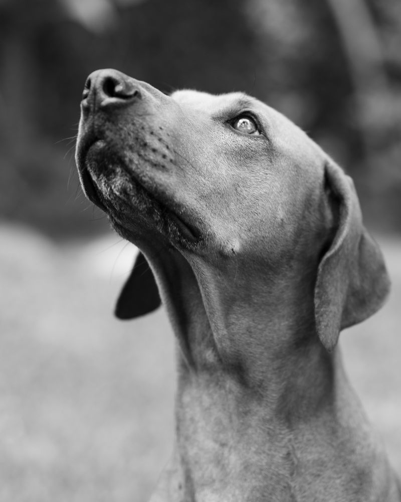 Photograph by Sarti Camilo