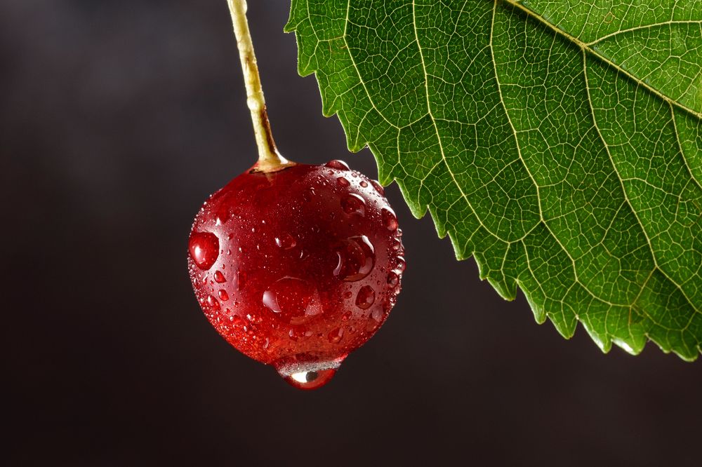 Photograph by Нуждин Андрей