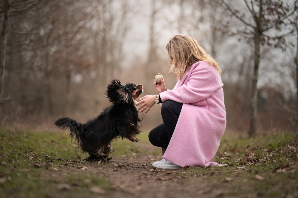 Фотография автора By Meert Eline