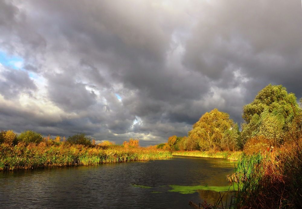 Осенним утром на реке