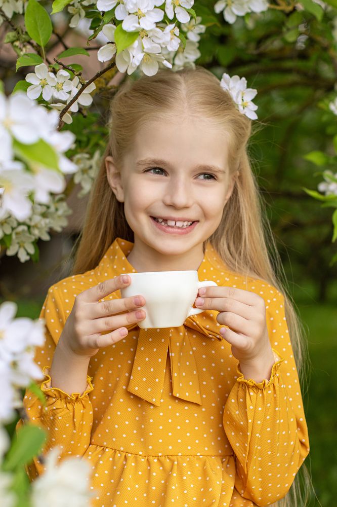 Фотография автора Светлана Дроголюбова