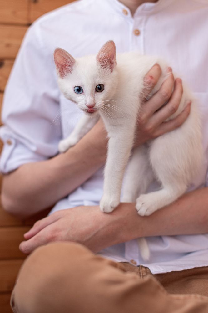 Фотография автора Светлана Дроголюбова