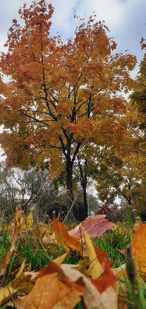 Photograph by Евгения Ульянова