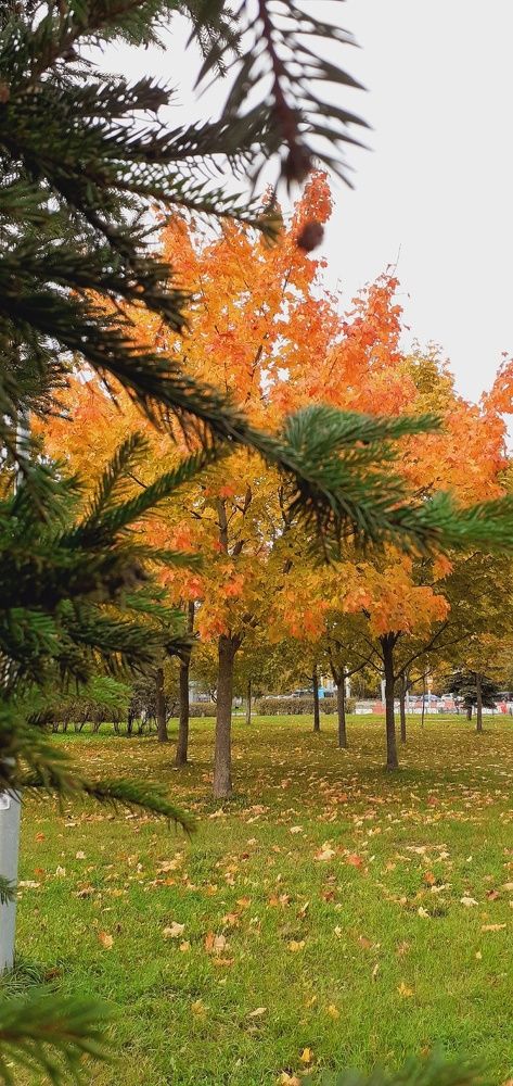 Photograph by Евгения Ульянова