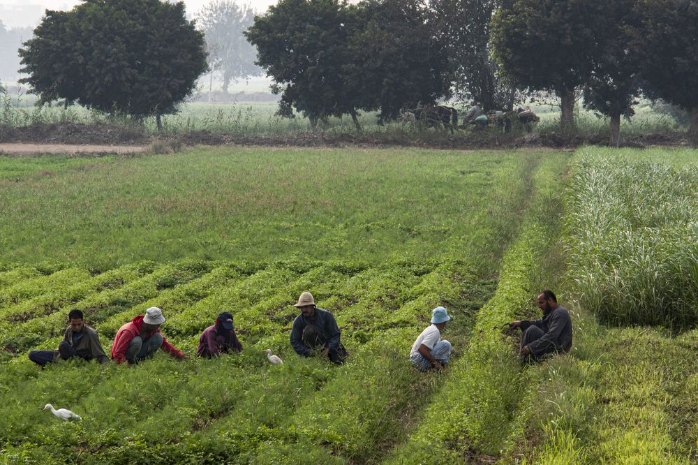 Photograph by Moataz Helmy