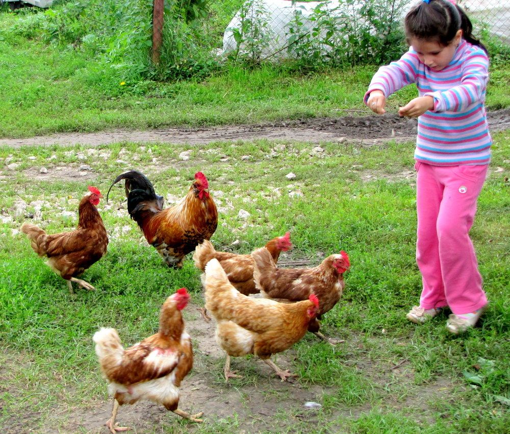 Photograph by Жанна Нечаева