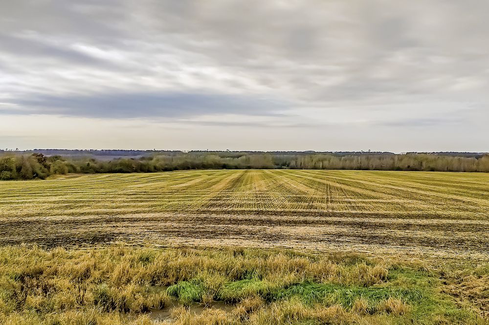Поле осеннее
