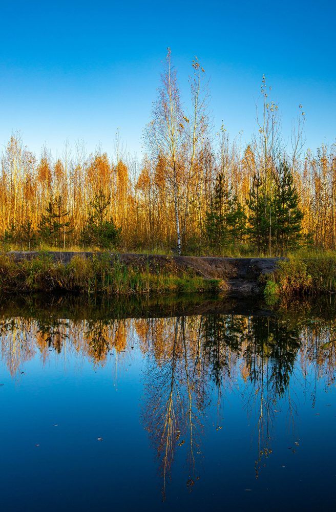 Фотография автора Ирина Гриценко