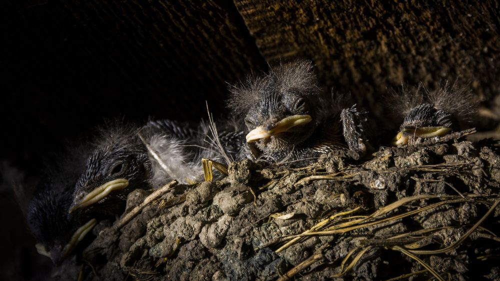 Photograph by Савенко Кирилл