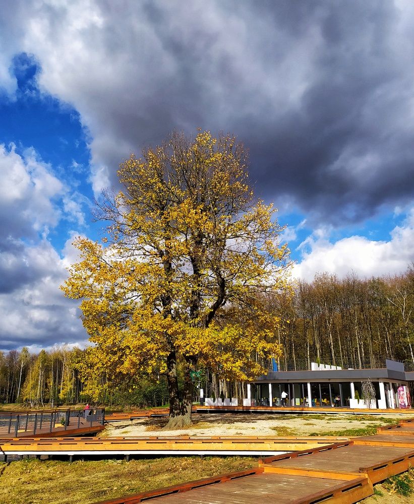 Photograph by Любовь Сухова