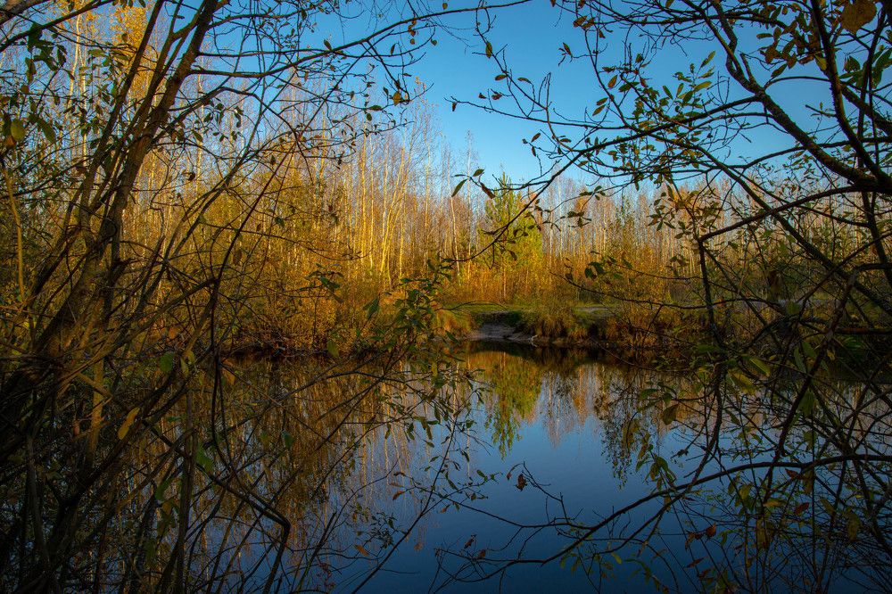 Фотография автора Ирина Гриценко