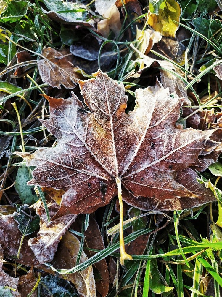 Photograph by Любовь Сухова