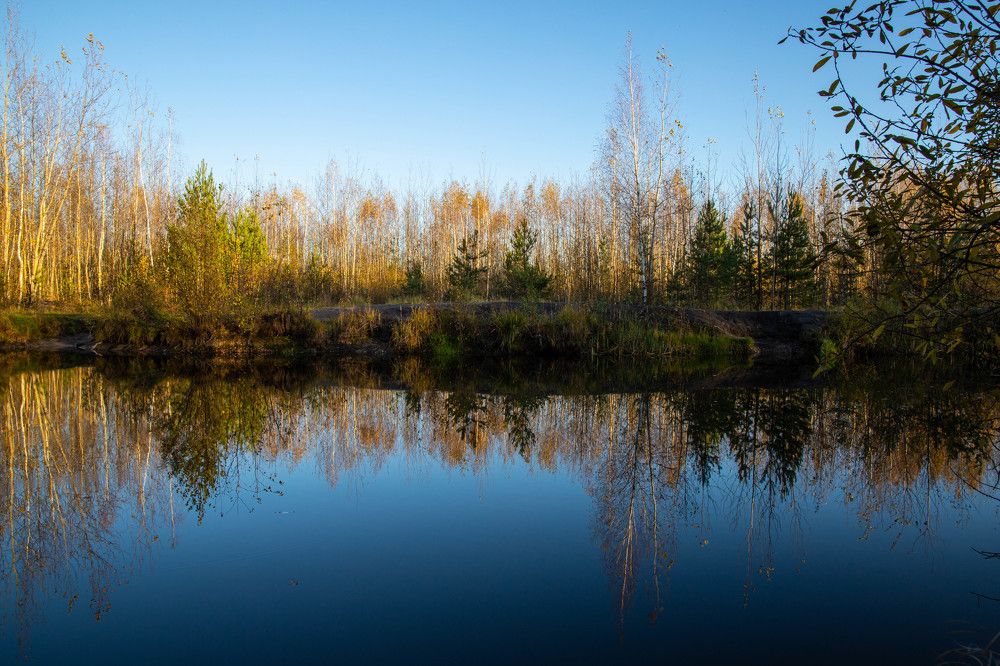 Фотография автора Ирина Гриценко