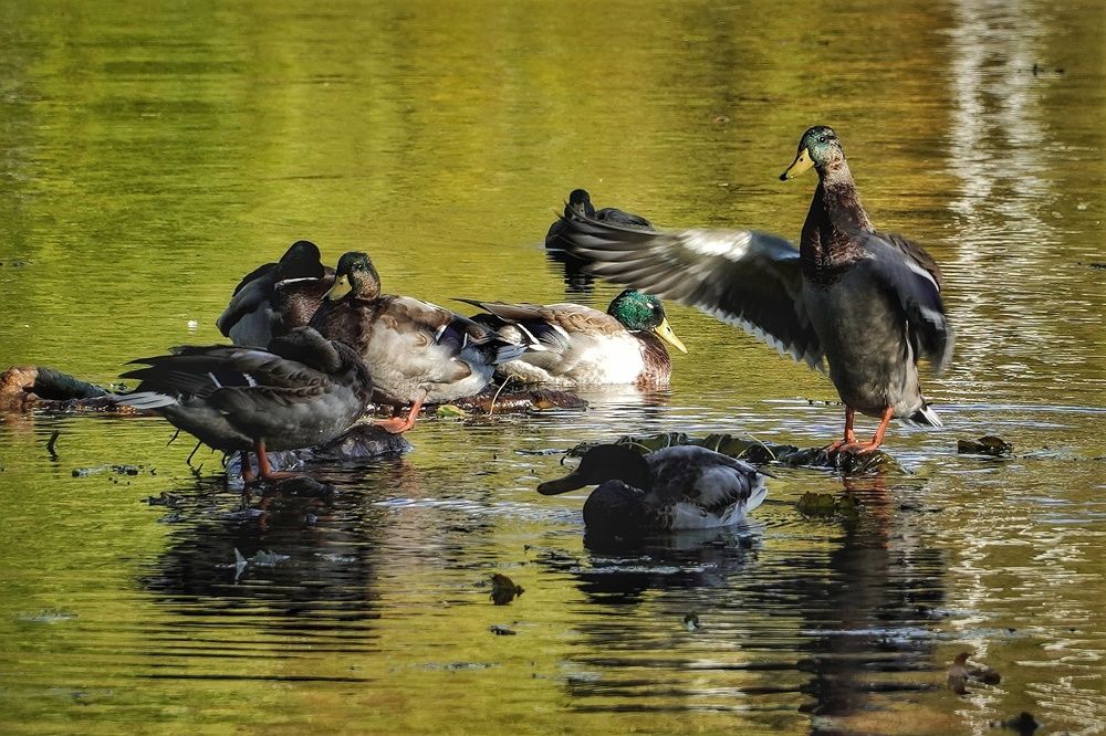 Photograph by Марина Безенкина