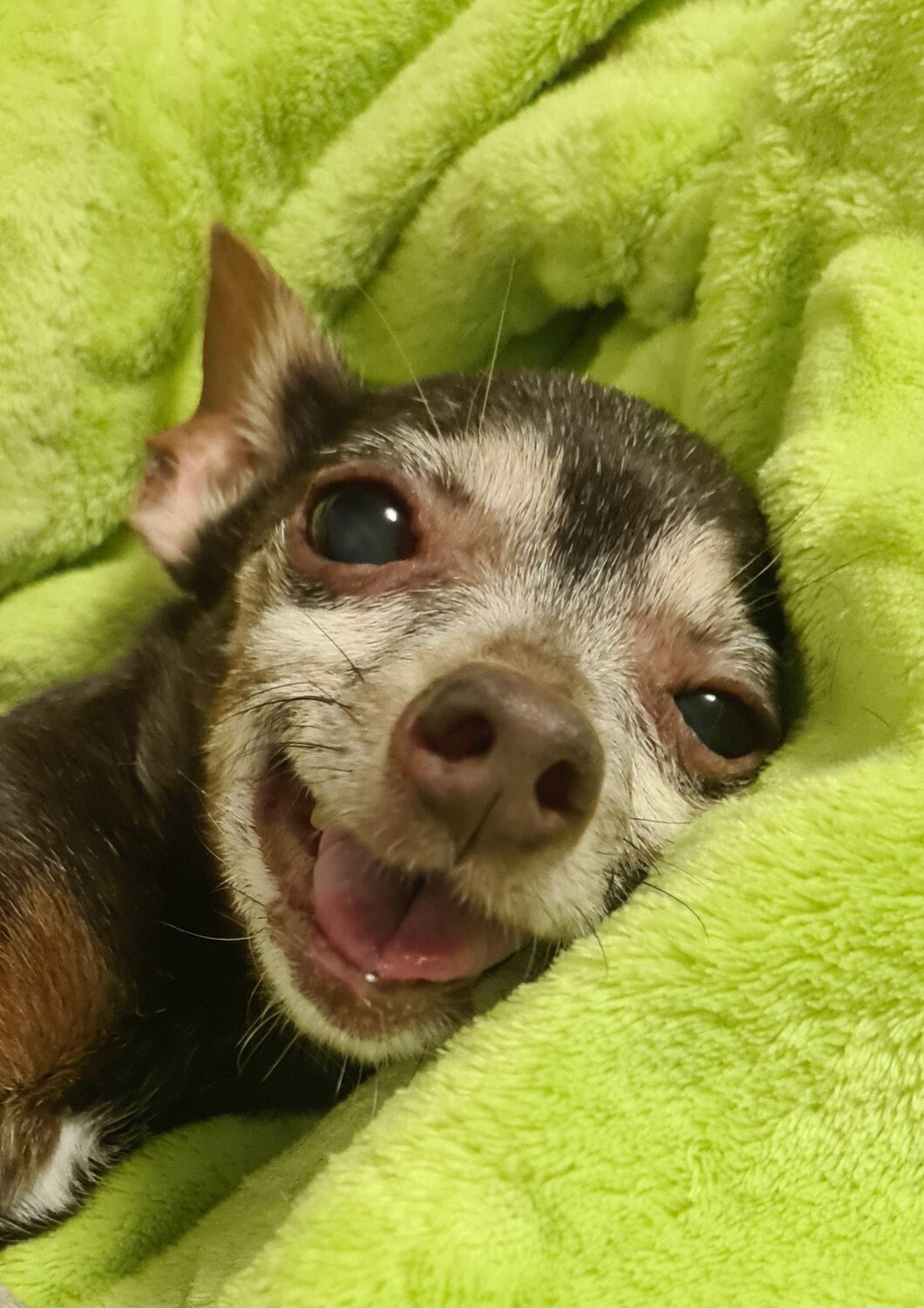 Photo #9678404