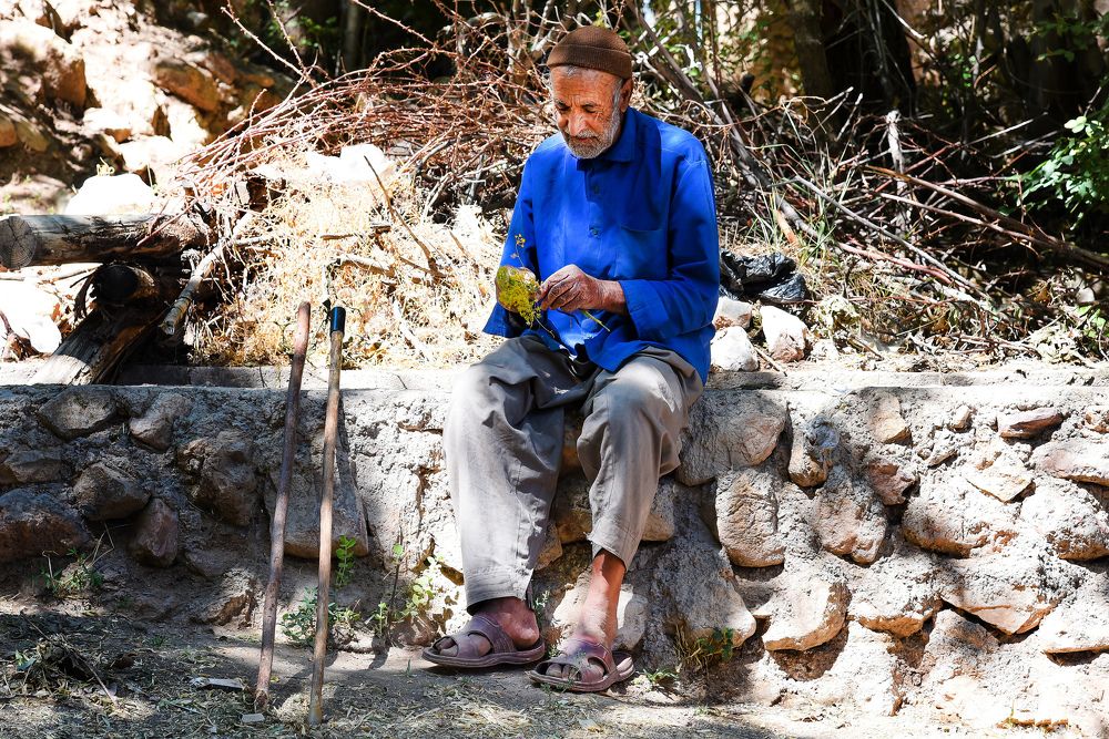 Photograph by Simin Mohit