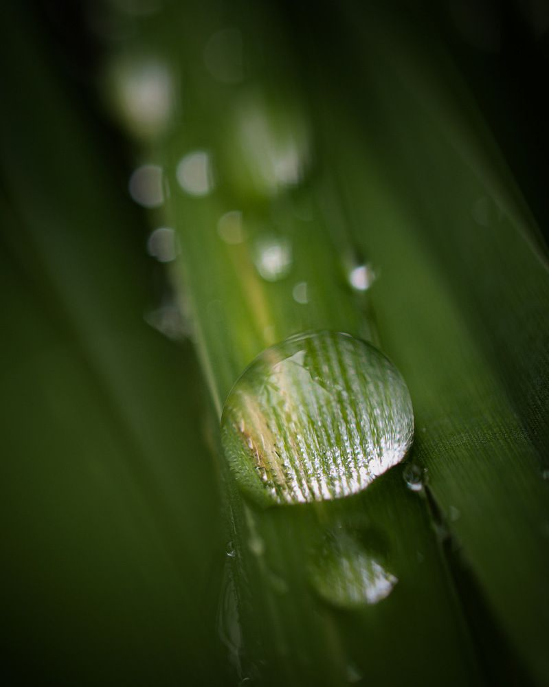 Photograph by Ірина Чумакова