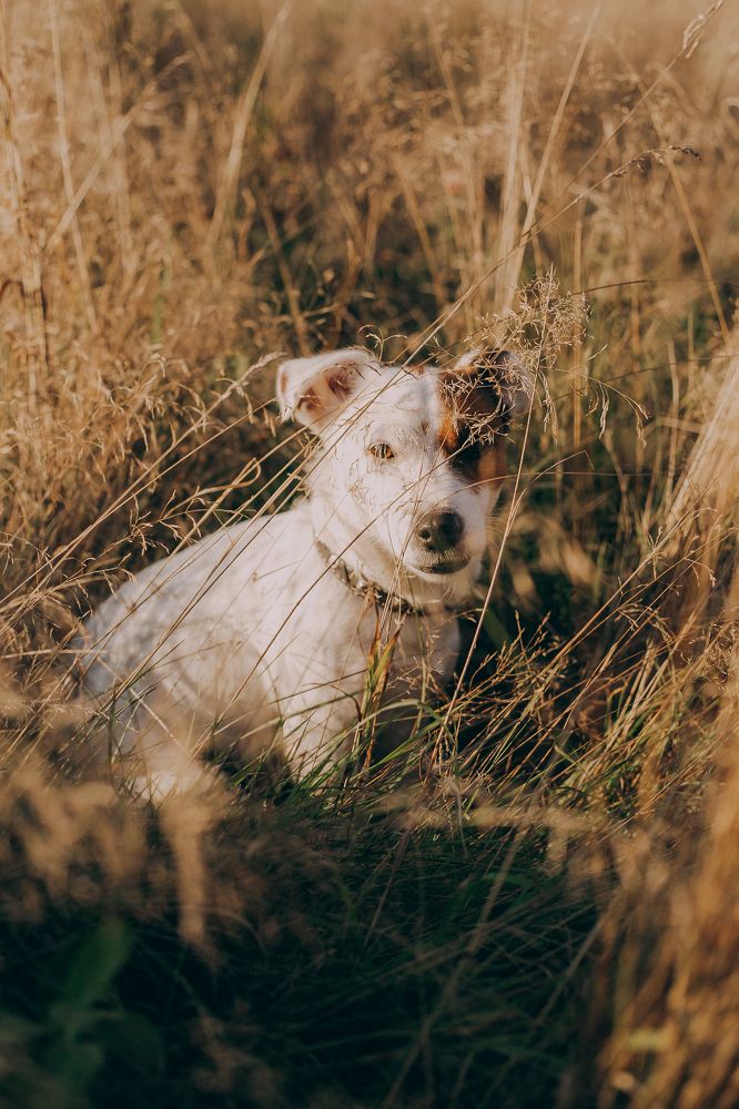Photograph by Светлана Кузнецова