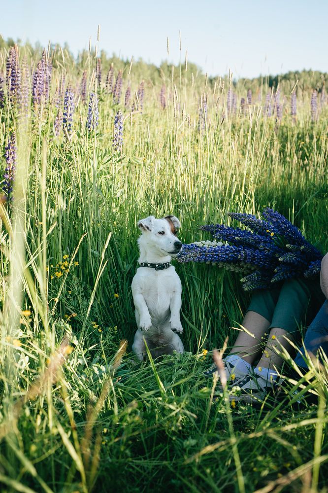 Photograph by Светлана Кузнецова