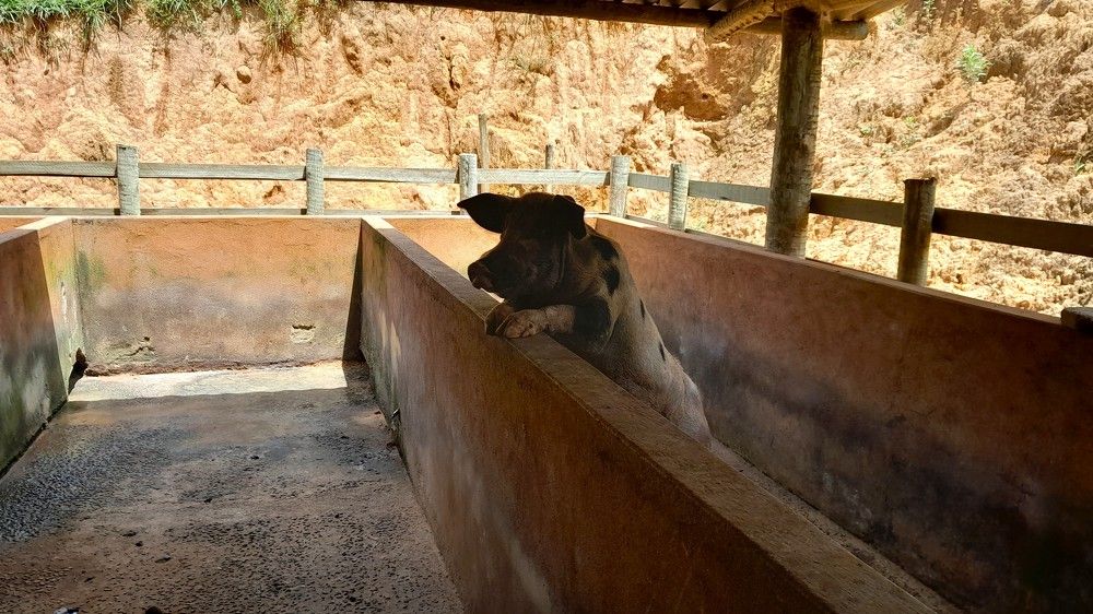 Photograph by Marie G