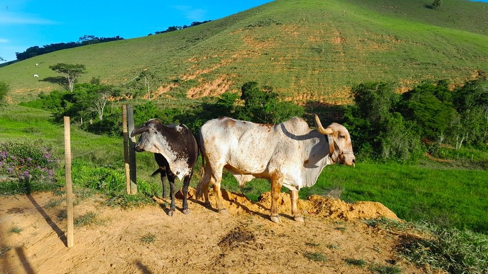 Photograph by Marie G