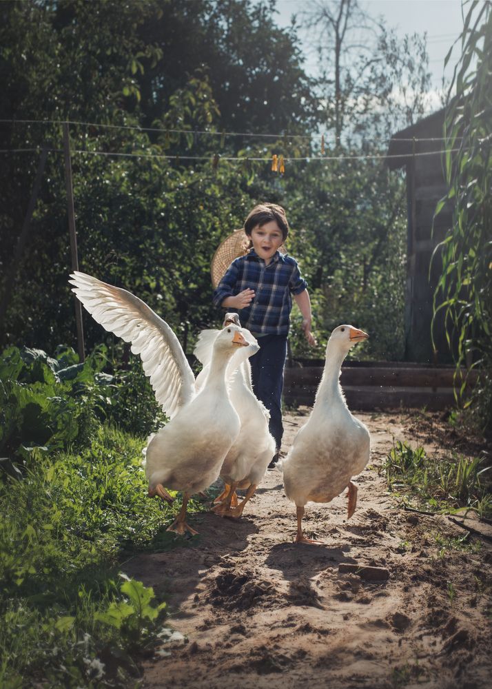 Photograph by Ольга Лобачёва