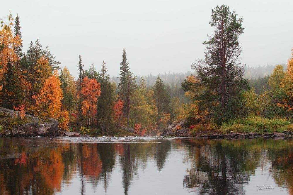 Photograph by Андрей Баскевич