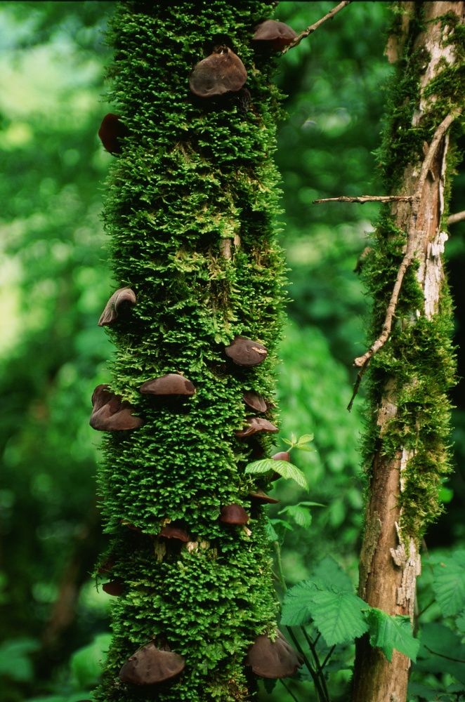 Photograph by Василий Селиванов