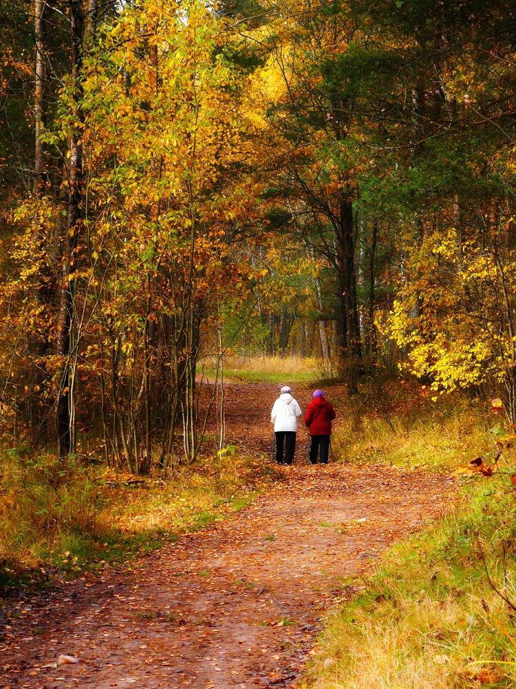 Photograph by Михаил Соколов