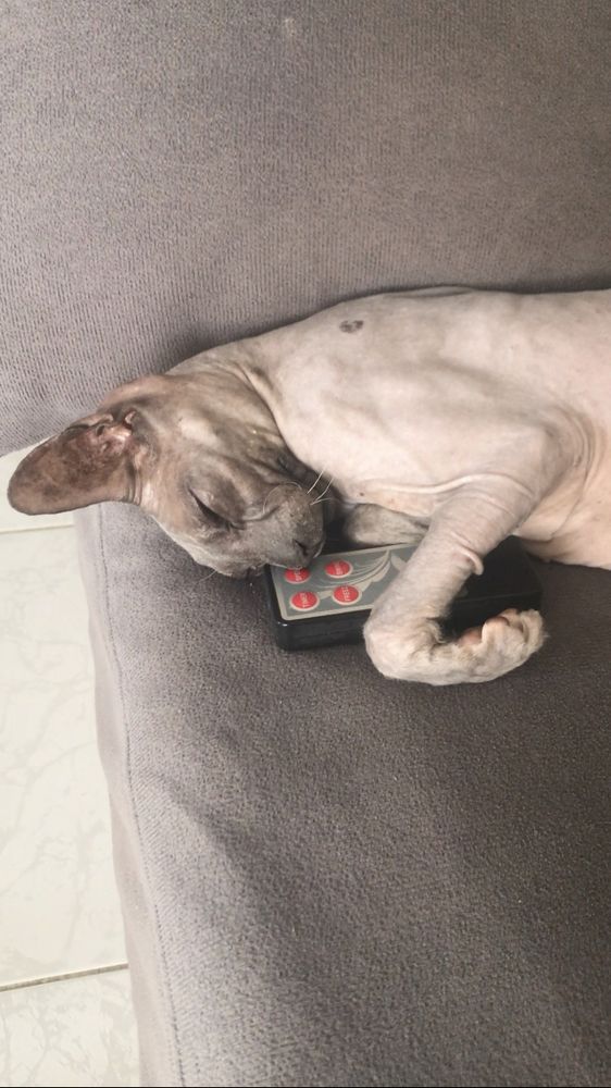 Photograph by Мария Берёзка