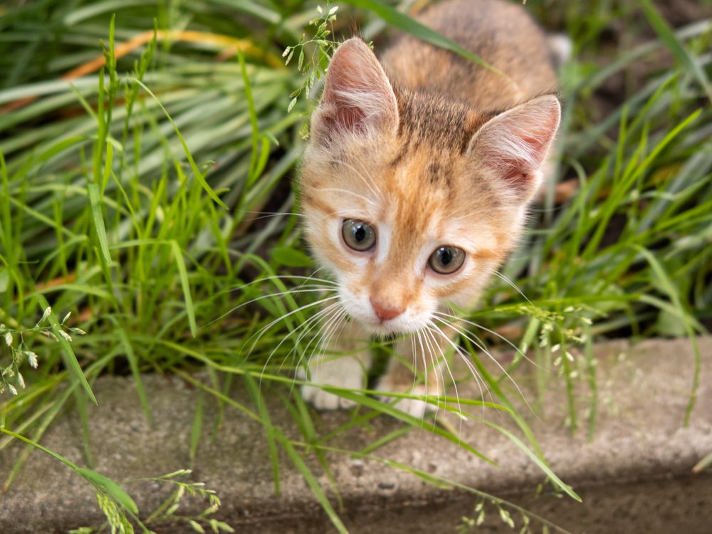 Photograph by Виталий Маслов