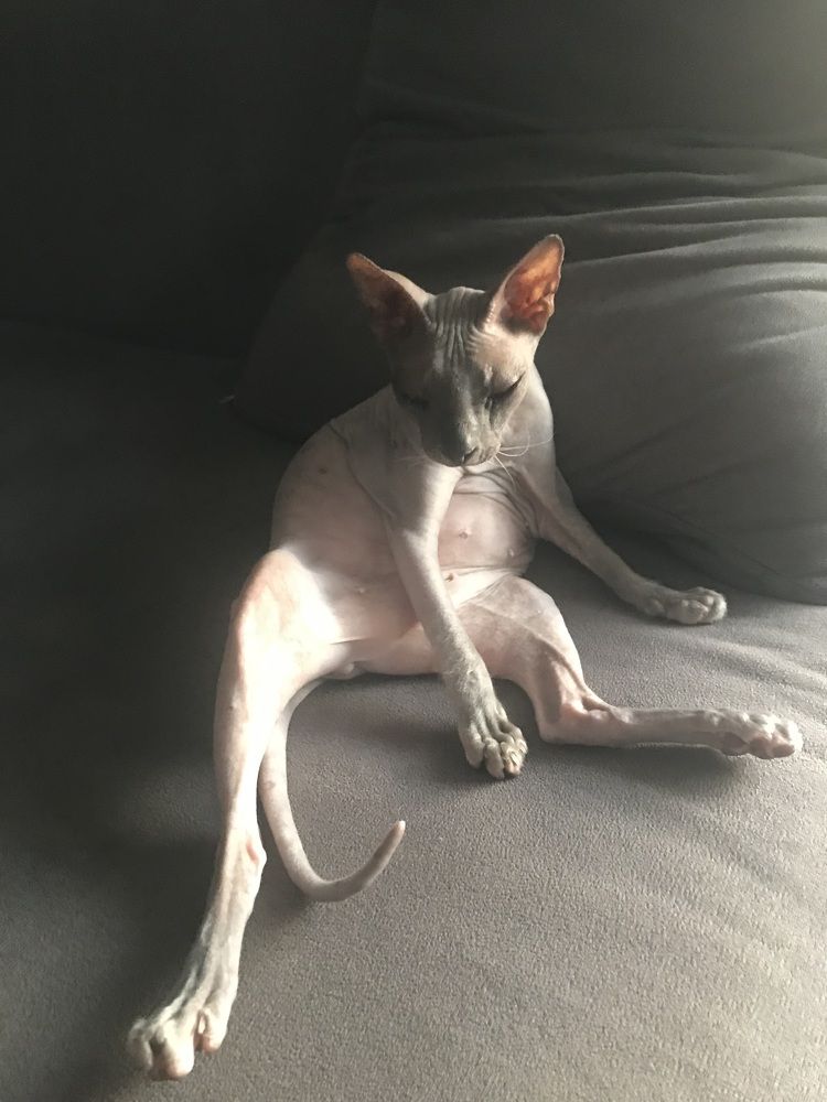 Photograph by Мария Берёзка