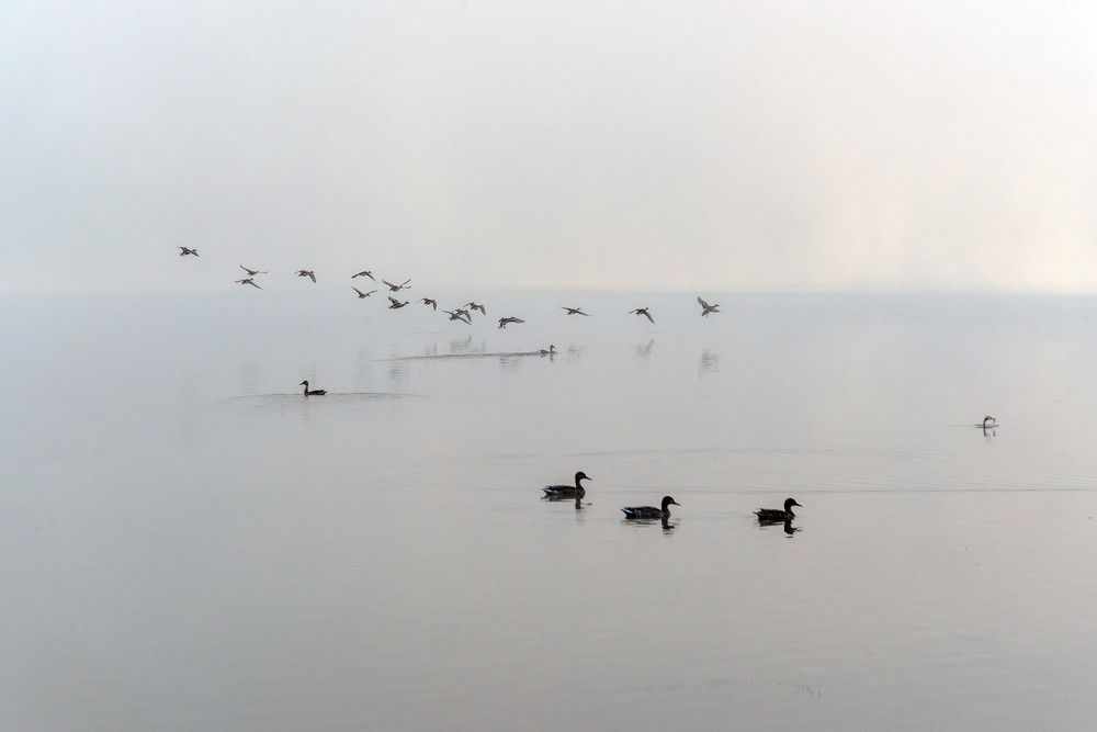 Photograph by Анастасия Глазюк