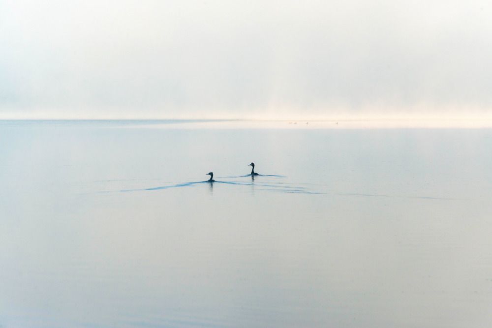 Photograph by Анастасия Глазюк