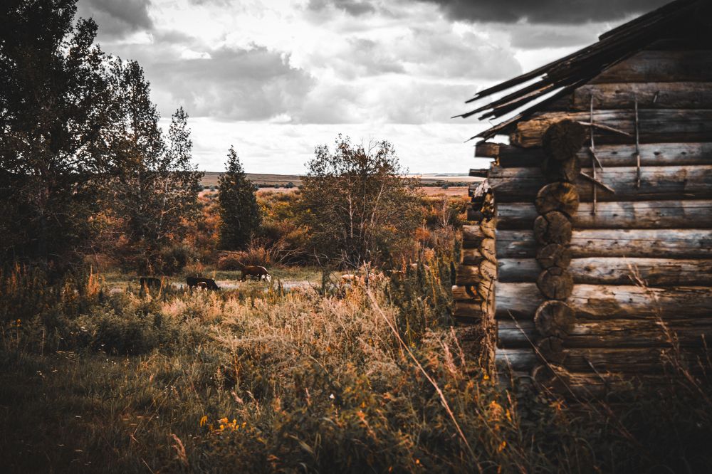 Photograph by Дарья Денисова