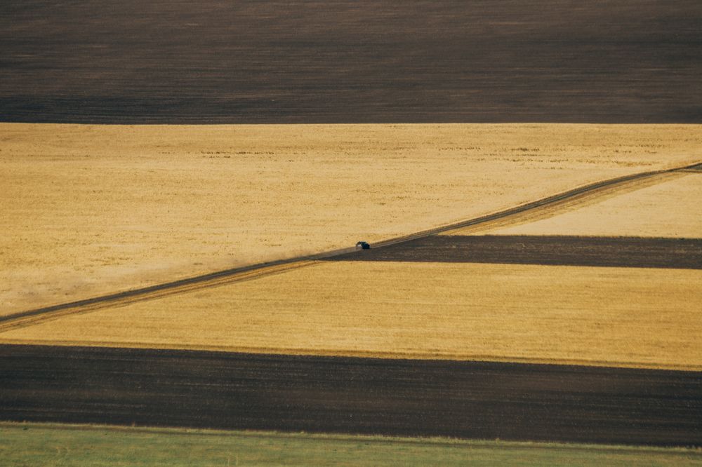 Photograph by Дарья Денисова