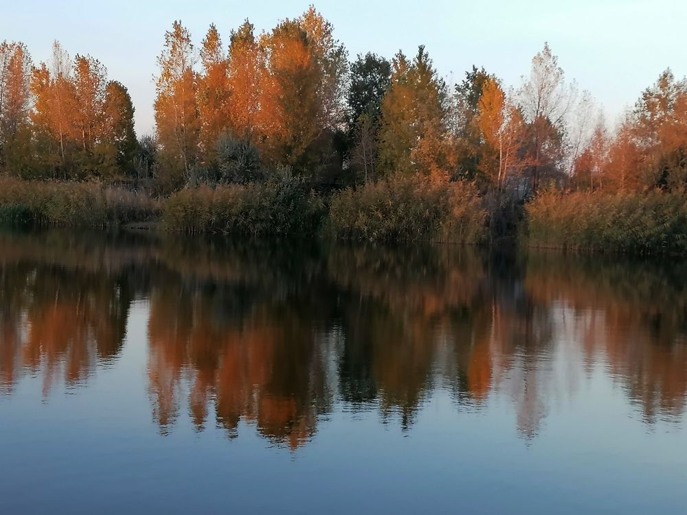 Photograph by Тамара Багровская