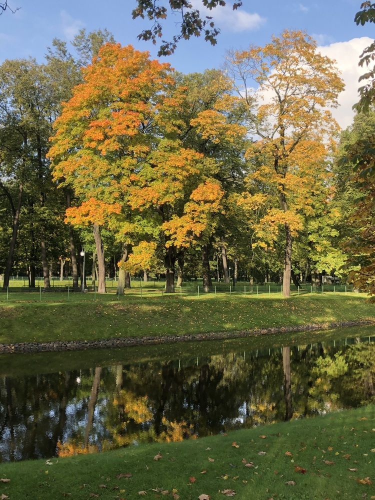 Photograph by Мария Бессмертная