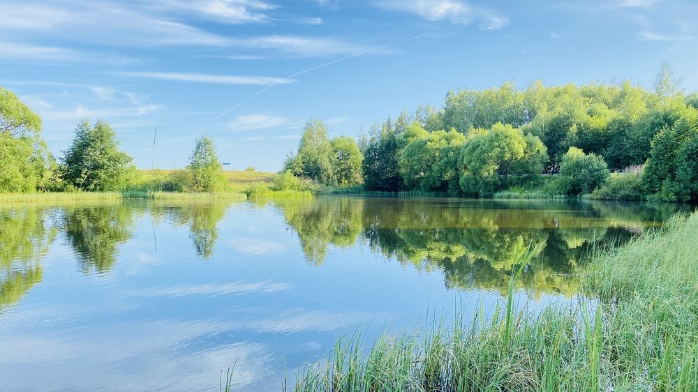 Photograph by Наталья Штеманн