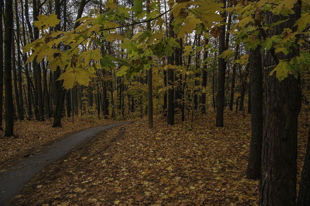 Photograph by Юрий Платухин