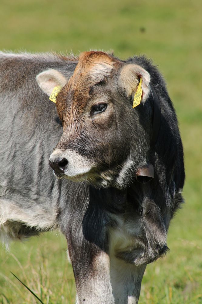 Photograph by Диана Ульянцева