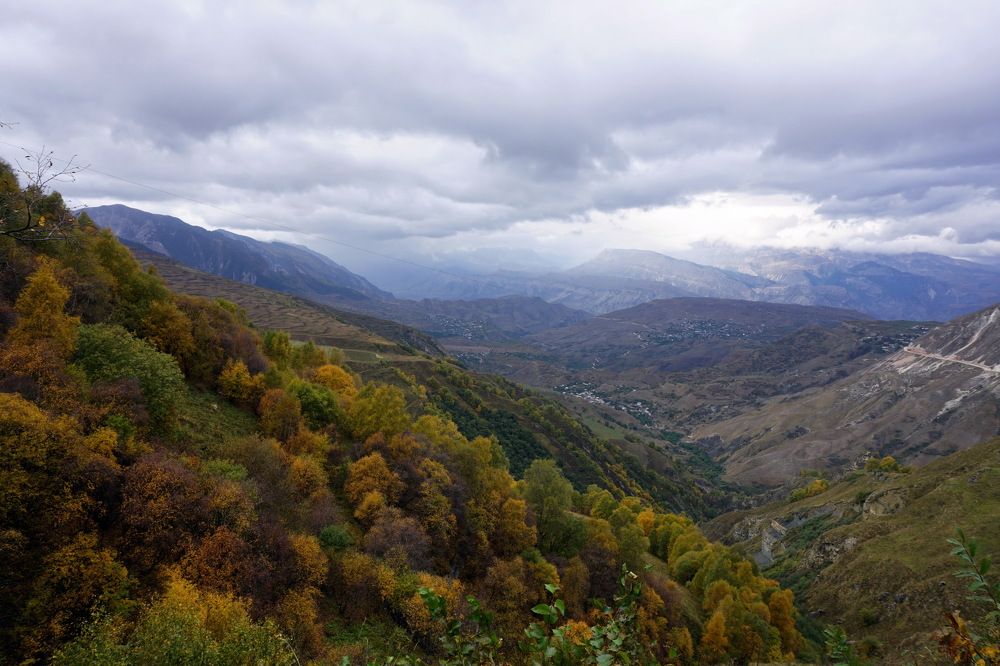 Photograph by Виктория Бабаджанова