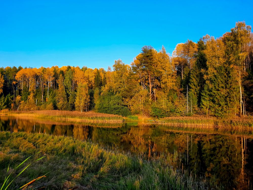 Photograph by Сергей Назаредский