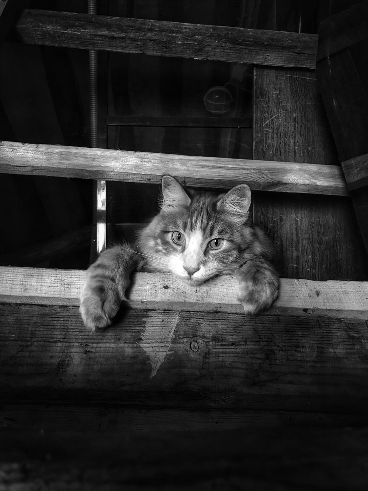 Photograph by Артемий