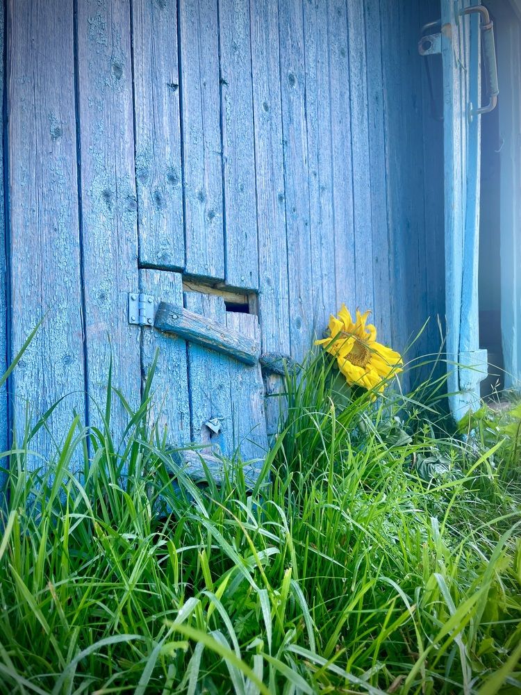 Photograph by Анастасия Авдеева