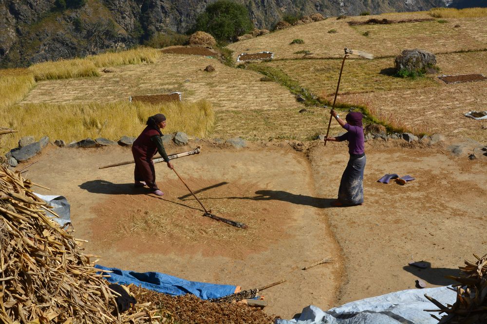 Photograph by Анатолий Орлов