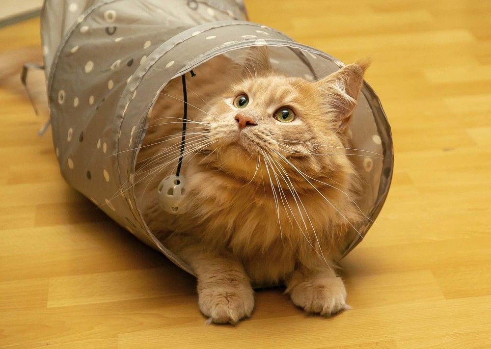 Photograph by Наталья Катюжанская