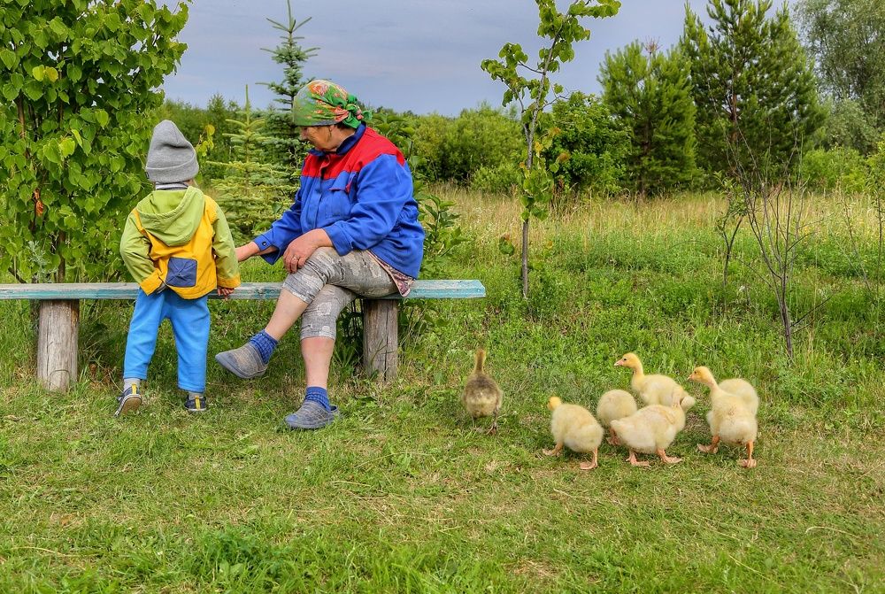 Photograph by Мария Андреева